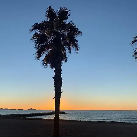 Coup De Coeur A Sanary Sur Mer Exterior photo